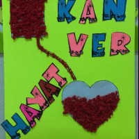 değerler eğitimi (480)