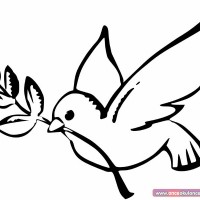 değerler eğitimi (482)