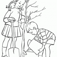 değerler eğitimi (5)