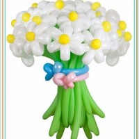 balon çalişması (44)