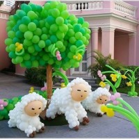 balon etkınlikleri  (106)