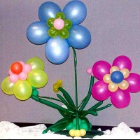 balon etkınlikleri  (111)