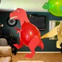 balon etkınlikleri  (24)