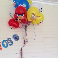 balon etkınlikleri  (25)