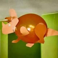 balon etkınlikleri  (32)