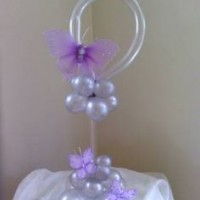 balon etkınlikleri  (91)