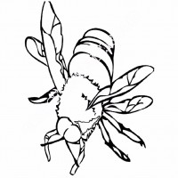 çocuklar-için-Arı-hayvan-boyama-sayfası-1