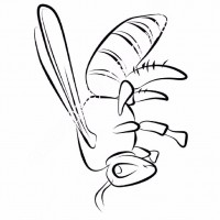 çocuklar-için-Arı-hayvan-boyama-sayfası-10