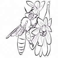 çocuklar-için-Arı-hayvan-boyama-sayfası-15
