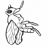 çocuklar-için-Arı-hayvan-boyama-sayfası-26