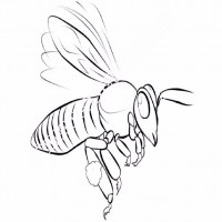 çocuklar-için-Arı-hayvan-boyama-sayfası-27
