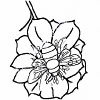 çocuklar-için-Arı-hayvan-boyama-sayfası-30