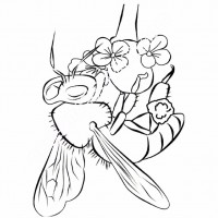 çocuklar-için-Arı-hayvan-boyama-sayfası-4