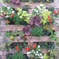 bardak ve saksı süsleme (2)