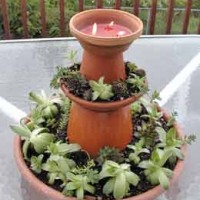 bardak ve saksı süsleme (34)