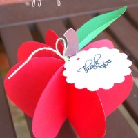 çiçek etkinlikleri (101)