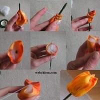 çiçek etkinlikleri (108)