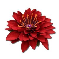 çiçek etkinlikleri (112)