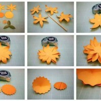 çiçek etkinlikleri (152)