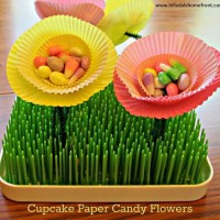 çiçek etkinlikleri (168)