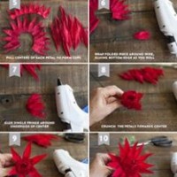 çiçek etkinlikleri (190)