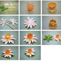 çiçek etkinlikleri (194)