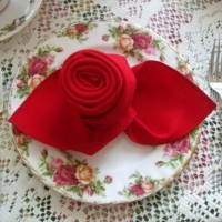 çiçek etkinlikleri (198)