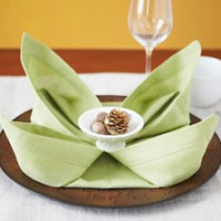 çiçek etkinlikleri (199)