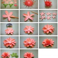 çiçek etkinlikleri (208)