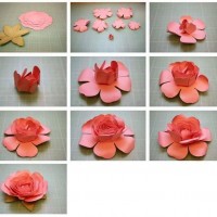 çiçek etkinlikleri (214)