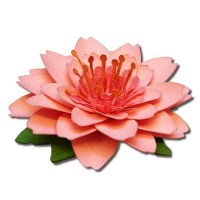 çiçek etkinlikleri (23)