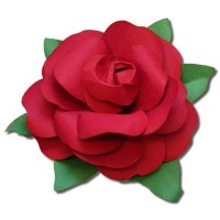 çiçek etkinlikleri (233)