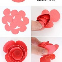 çiçek etkinlikleri (246)