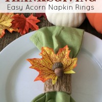 çiçek etkinlikleri (247)