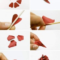 çiçek etkinlikleri (251)