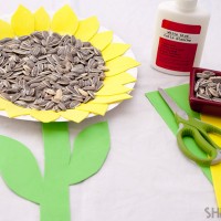 çiçek etkinlikleri (252)