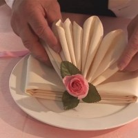 çiçek etkinlikleri (253)