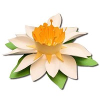 çiçek etkinlikleri (255)