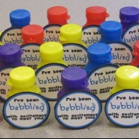 çiçek etkinlikleri (35)