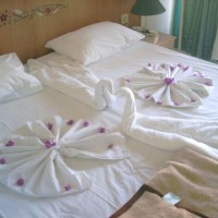 çiçek etkinlikleri (55)