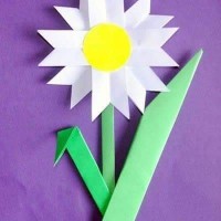 çiçek etkinlikleri (60)