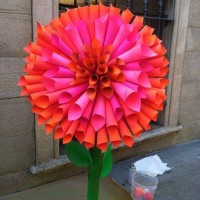 çiçek etkinlikleri (62)