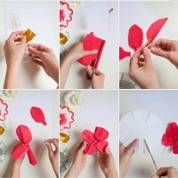 çiçek etkinlikleri (66)