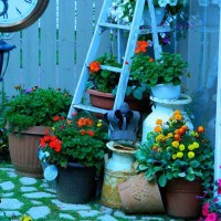 çiçek etkinlikleri (67)