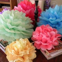 çiçek etkinlikleri (73)