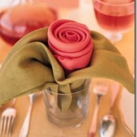 çiçek etkinlikleri (88)