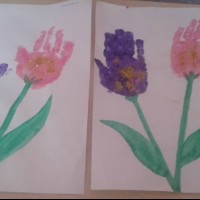 12801370_10206873502810862_1344827666549709259_n