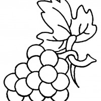 390288090-meyve-boyama-9