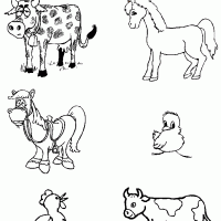 Artık Materyaller,Proje Çalişması, Sınıf Süsleme ,Kapı Süsü, Sayı Birleştirme,Arı Çalişması ,Balık  ,Kuş ,Baykuş,Maymun ,Kurbağa  Çalişması(1327)