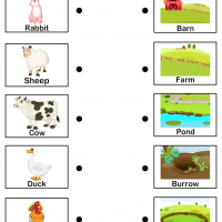 Artık Materyaller,Proje Çalişması, Sınıf Süsleme ,Kapı Süsü, Sayı Birleştirme,Arı Çalişması ,Balık  ,Kuş ,Baykuş,Maymun ,Kurbağa  Çalişması(1332)